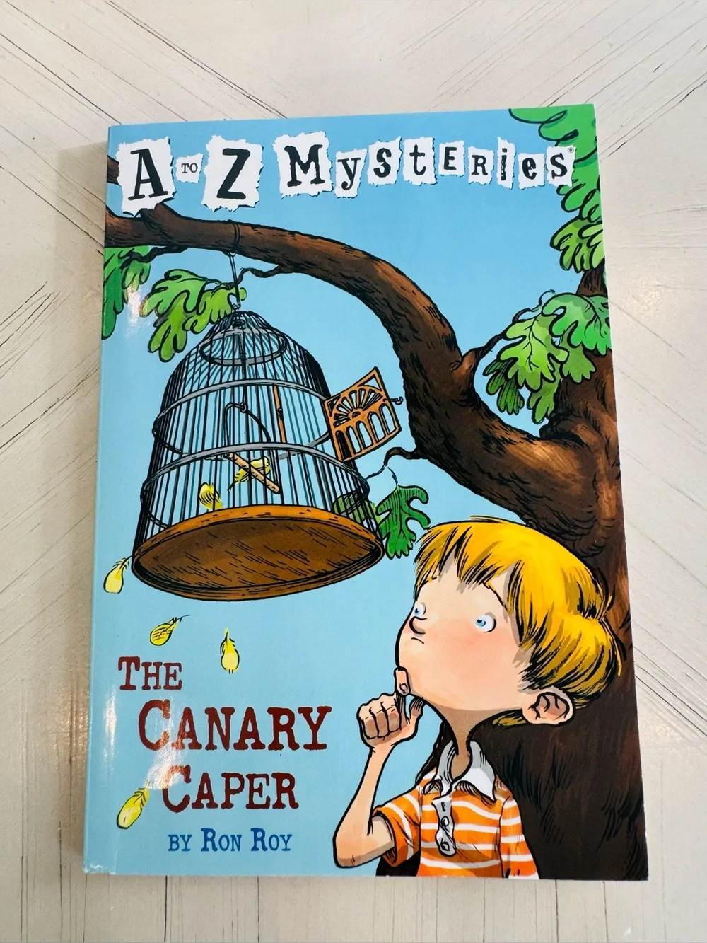 A to Z Mysteries Boxed Set Collection #1 A-D Hardcover Books Ages 7-9